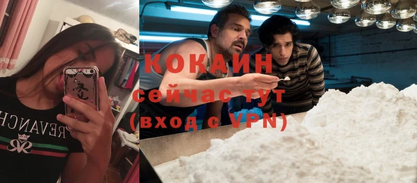 a pvp Зеленокумск