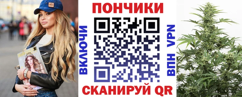 Купить закладки  Борзя  Канабис ГИДРОПОН 